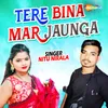 About Tere Bina Mar Jaunga Song